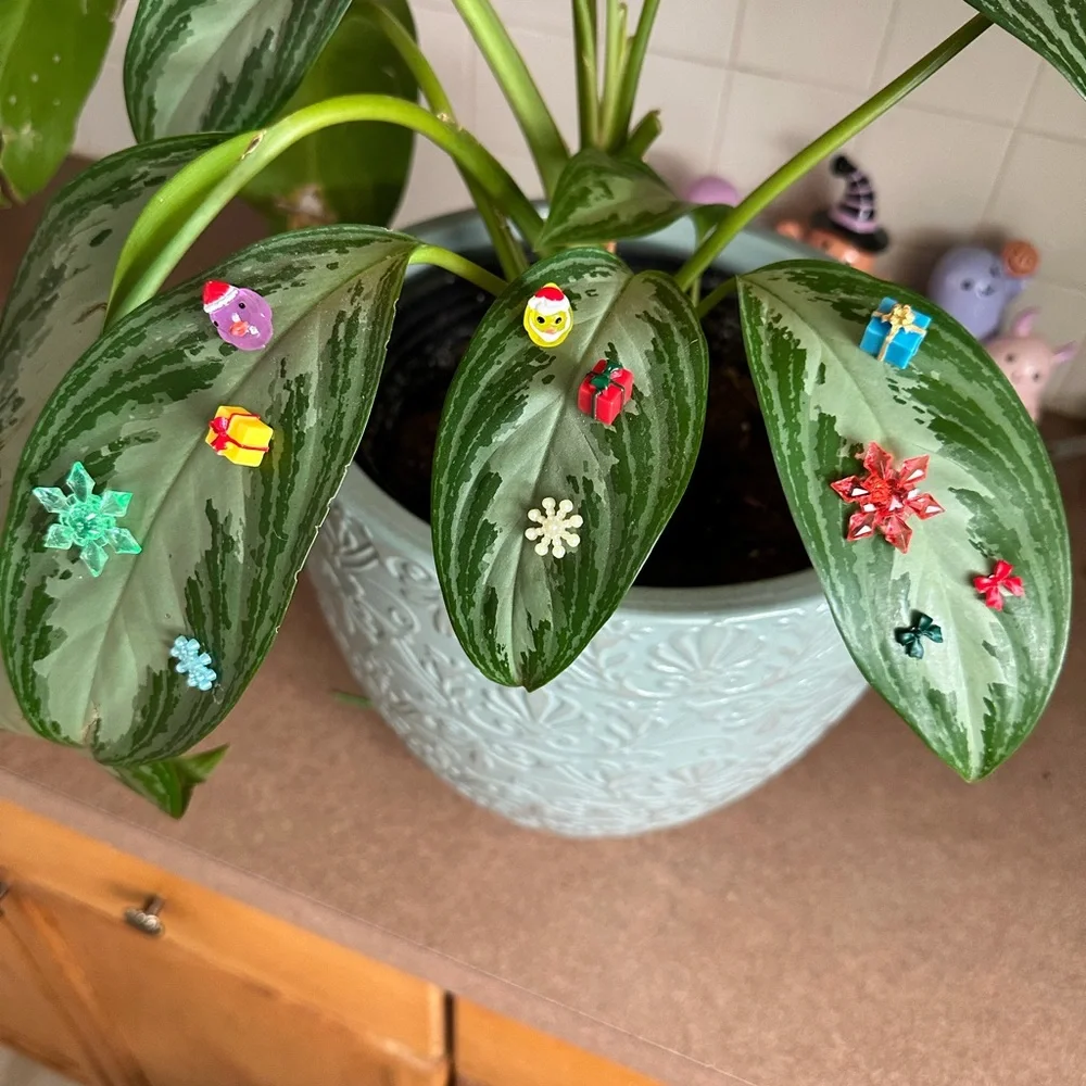 🍃10 pack CHRISTMAS PLANT MAGNETS!🍃 - Picture 4 of 5